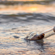 Illustration for article titled Couple Finds 108-Year-Old Message in a Bottle